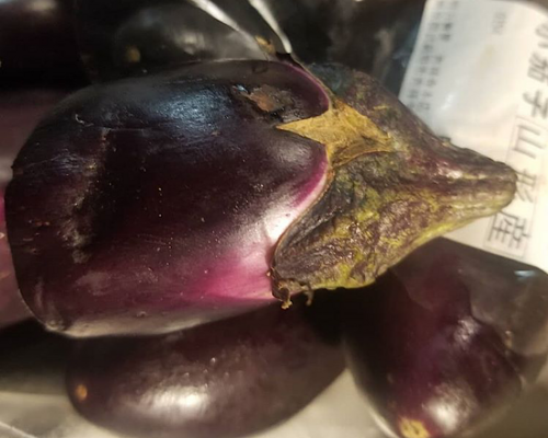 カレー